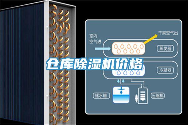 倉庫杏仁视频APP成人官方污價格
