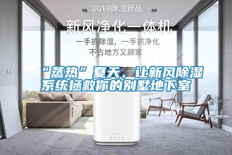 “蒸熱”夏天，讓新風除濕係統拯救你的別墅地下室