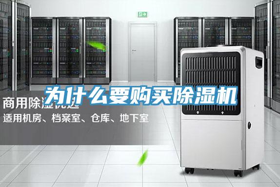 為什麽要購買杏仁视频APP成人官方污