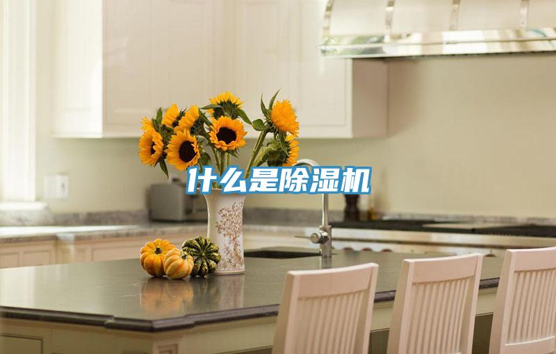 什麽是杏仁视频APP成人官方污