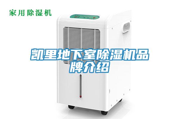 凱裏地下室杏仁视频APP成人官方污品牌介紹