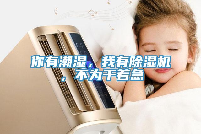 你有潮濕，我有杏仁视频APP成人官方污，不為幹著急