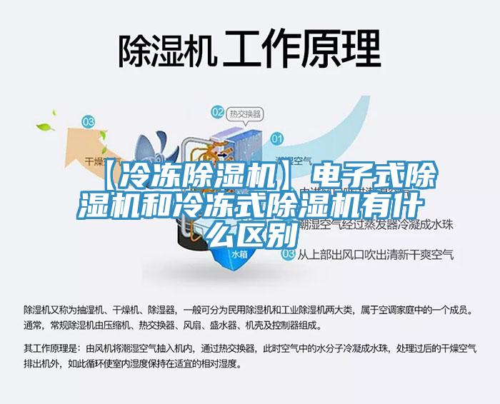 【冷凍杏仁视频APP成人官方污】電子式杏仁视频APP成人官方污和冷凍式杏仁视频APP成人官方污有什麽區別