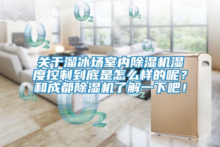 關於溜冰場室內杏仁视频APP成人官方污濕度控製到底是怎麽樣的呢？和成都杏仁视频APP成人官方污了解一下吧！