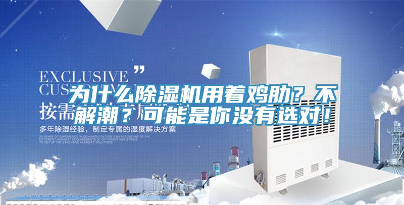 為什麽杏仁视频APP成人官方污用著雞肋？不解潮？可能是你沒有選對！