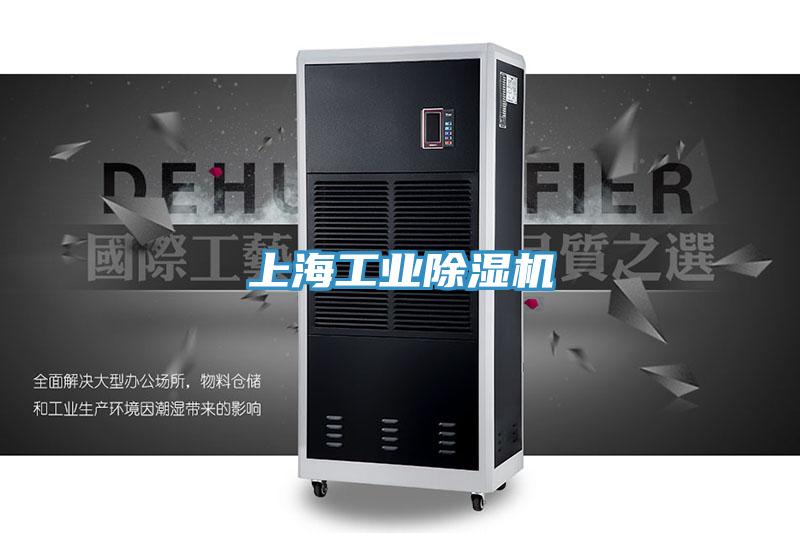 上海工業杏仁视频APP成人官方污
