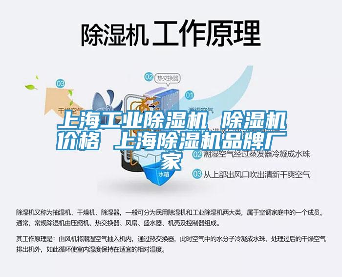 上海工業杏仁视频APP成人官方污 杏仁视频APP成人官方污價格 上海杏仁视频APP成人官方污品牌廠家