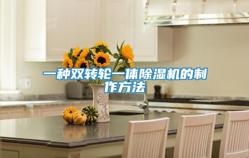 一種雙轉輪一體杏仁视频APP成人官方污的製作方法