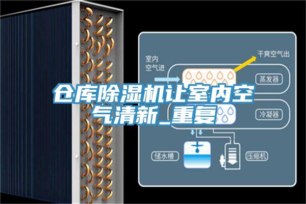倉庫杏仁视频APP成人官方污讓室內空氣清新_重複