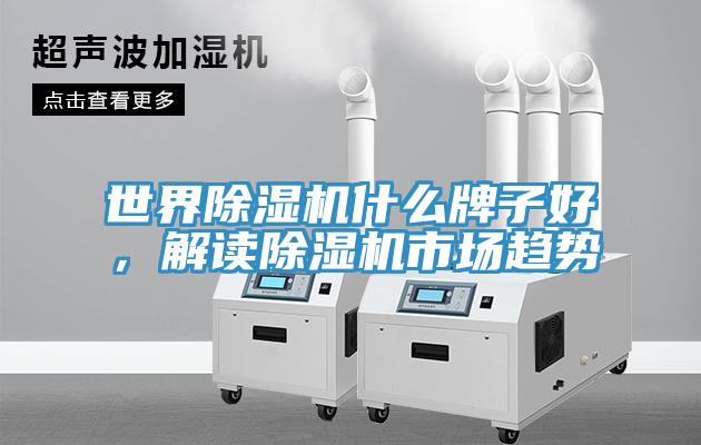 世界杏仁视频APP成人官方污什麽牌子好，解讀杏仁视频APP成人官方污市場趨勢