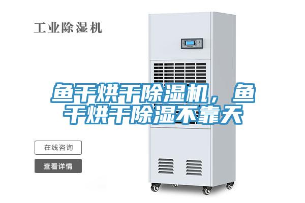 魚幹烘幹杏仁视频APP成人官方污，魚幹烘幹除濕不靠天