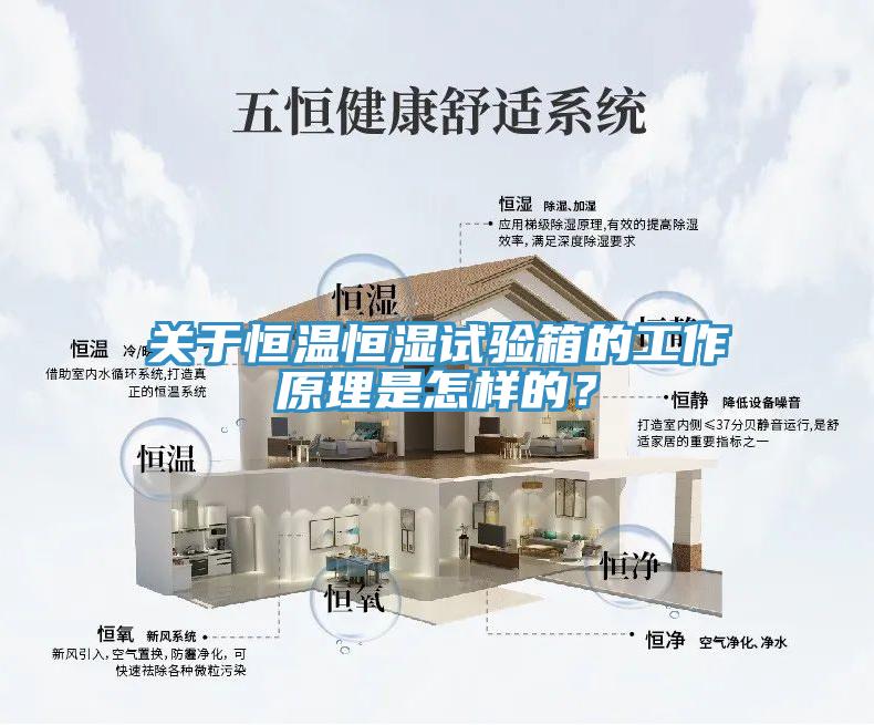 關於恒溫恒濕試驗箱的工作原理是怎樣的？