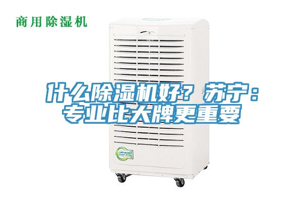 什麽杏仁视频APP成人官方污好？蘇寧：專業比大牌更重要
