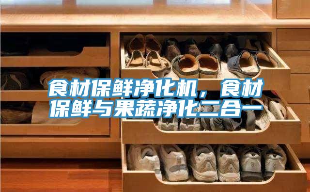 食材保鮮淨化機，食材保鮮與果蔬淨化二合一