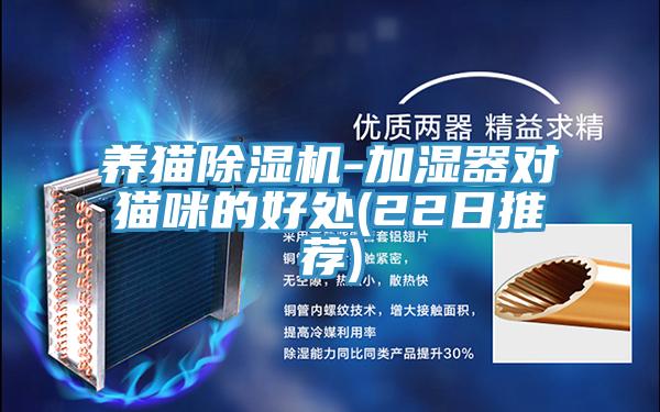 養貓杏仁视频APP成人官方污-加濕器對貓咪的好處(22日推薦)