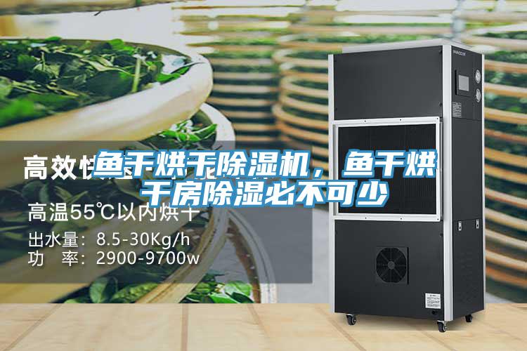 魚幹烘幹杏仁视频APP成人官方污，魚幹烘幹房除濕必不可少