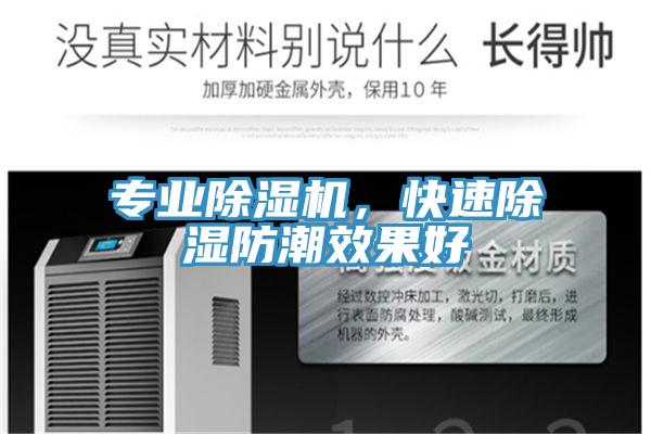 專業杏仁视频APP成人官方污，快速除濕防潮效果好