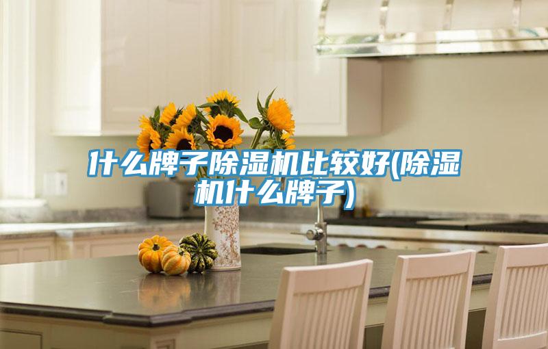 什麽牌子杏仁视频APP成人官方污比較好(杏仁视频APP成人官方污什麽牌子)