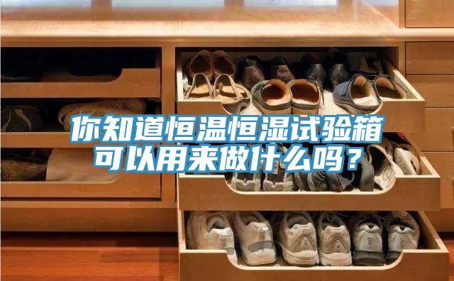 你知道恒溫恒濕試驗箱可以用來做什麽嗎？