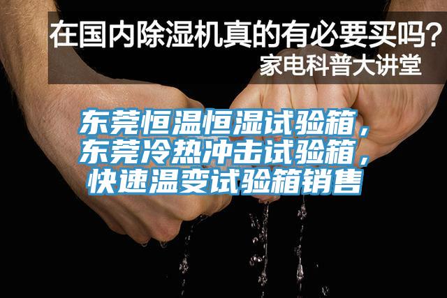 東莞恒溫恒濕試驗箱，東莞冷熱衝擊試驗箱，快速溫變試驗箱銷售