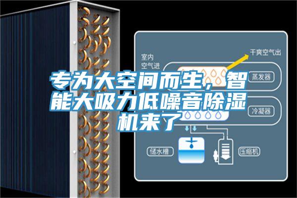 專為大空間而生，智能大吸力低噪音杏仁视频APP成人官方污來了