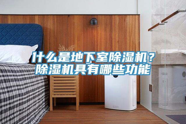 什麽是地下室杏仁视频APP成人官方污？杏仁视频APP成人官方污具有哪些功能
