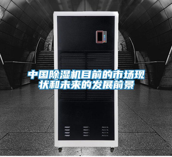 中國杏仁视频APP成人官方污目前的市場現狀和未來的發展前景