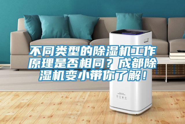 不同類型的杏仁视频APP成人官方污工作原理是否相同？成都杏仁视频APP成人官方污變小帶你了解！