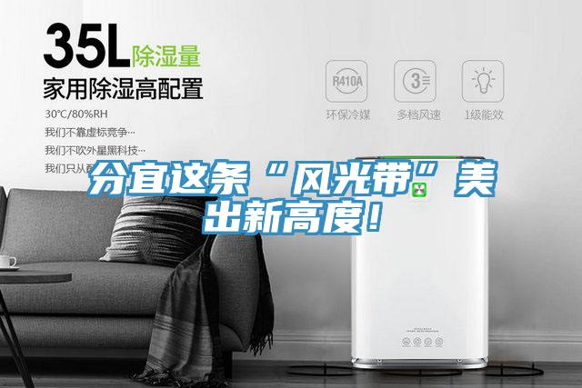 分宜這條“風光帶”美出新高度！