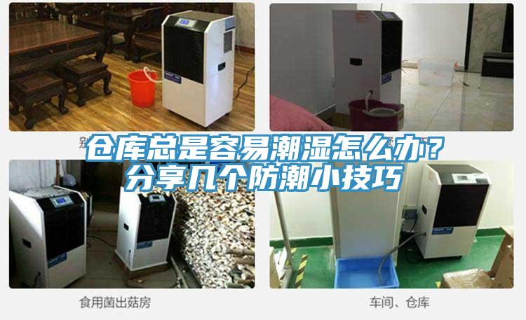 倉庫總是容易潮濕怎麽辦？分享幾個防潮小技巧