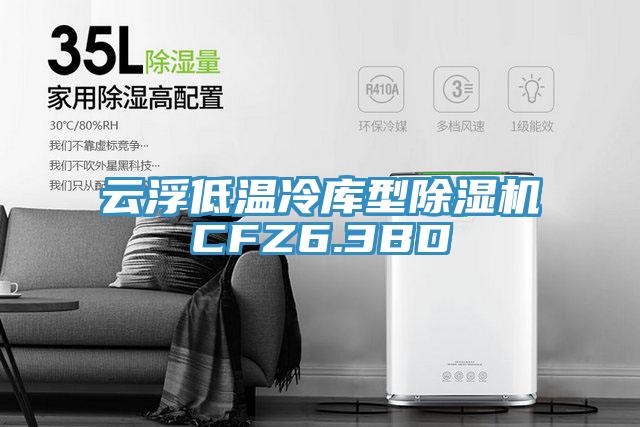 雲浮低溫冷庫型杏仁视频APP成人官方污CFZ6.3BD