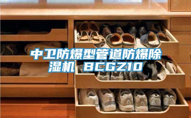 中衛防爆型管道防爆杏仁视频APP成人官方污 BCGZ10