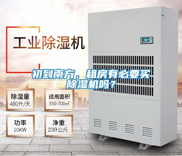 初到南方，租房有必要買杏仁视频APP成人官方污嗎？