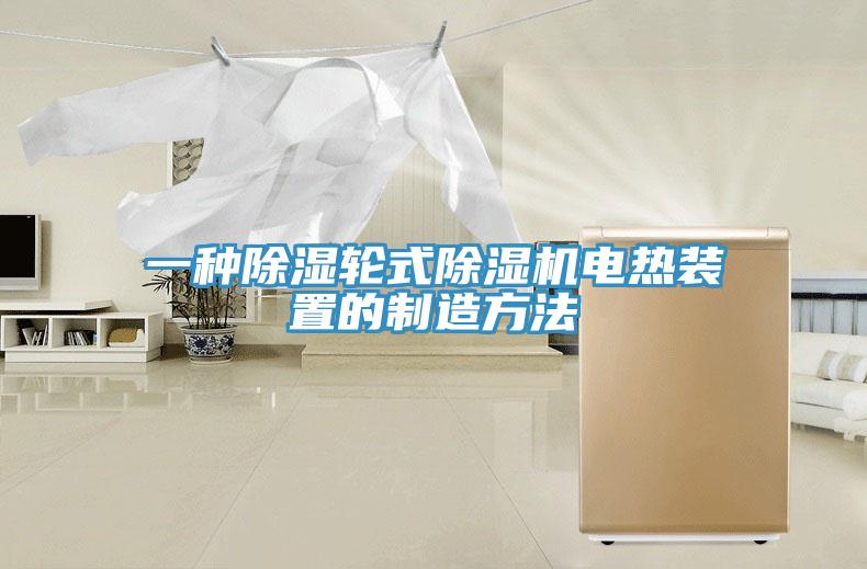 一種除濕輪式杏仁视频APP成人官方污電熱裝置的製造方法