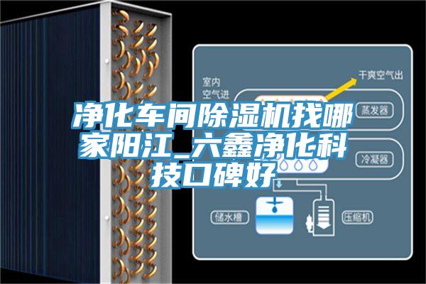 淨化車間杏仁视频APP成人官方污找哪家陽江_六鑫淨化科技口碑好