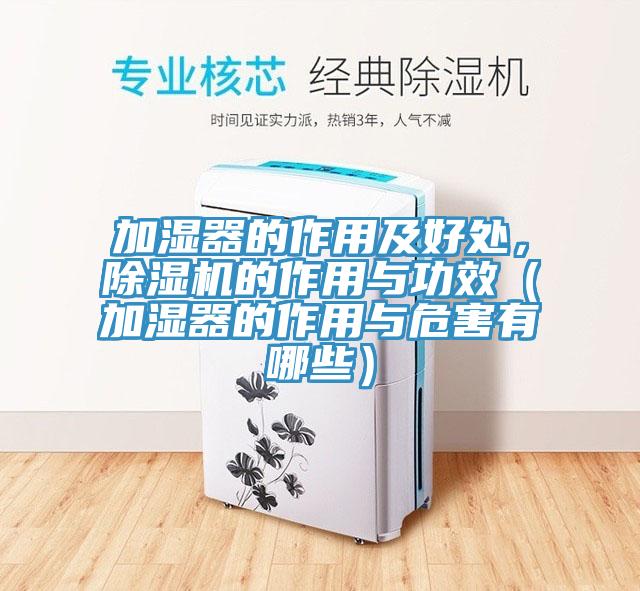 加濕器的作用及好處，杏仁视频APP成人官方污的作用與功效（加濕器的作用與危害有哪些）