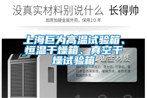 上海巨為高溫試驗箱、恒溫幹燥箱、真空幹燥試驗箱