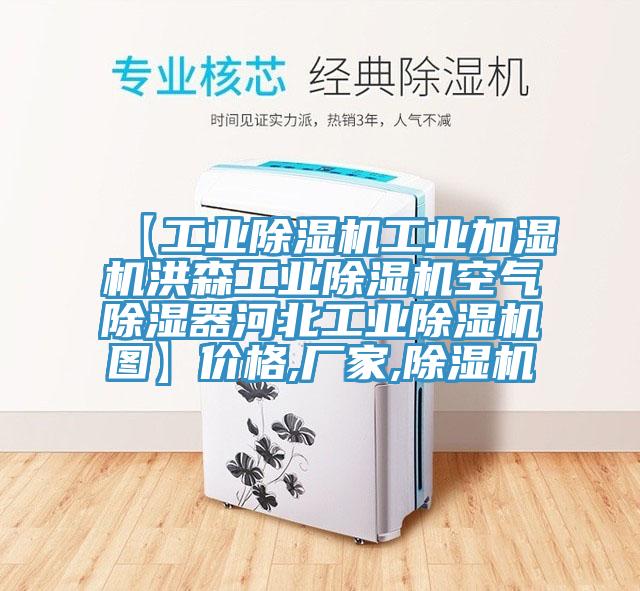 【工業杏仁视频APP成人官方污工業加濕機洪森工業杏仁视频APP成人官方污空氣除濕器河北工業杏仁视频APP成人官方污圖】價格,廠家,杏仁视频APP成人官方污