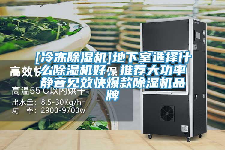 [冷凍杏仁视频APP成人官方污]地下室選擇什麽杏仁视频APP成人官方污好，推薦大功率靜音見效快爆款杏仁视频APP成人官方污品牌