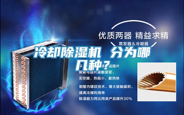 冷卻杏仁视频APP成人官方污 分為哪幾種？