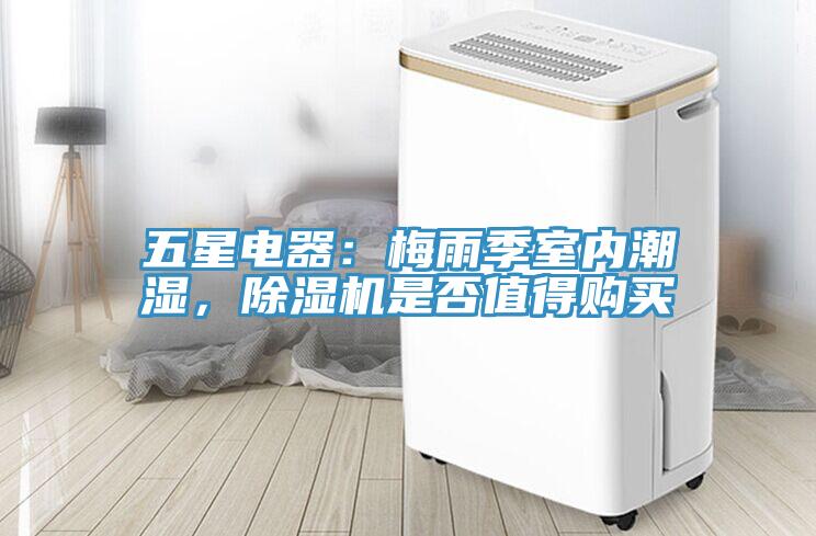 五星電器：梅雨季室內潮濕，杏仁视频APP成人官方污是否值得購買