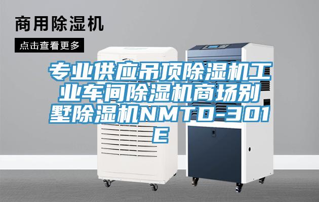 專業供應吊頂杏仁视频APP成人官方污工業車間杏仁视频APP成人官方污商場別墅杏仁视频APP成人官方污NMTD-301E