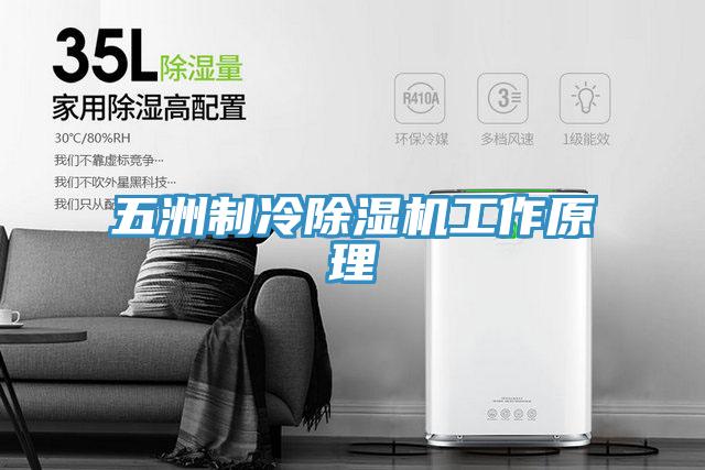 五洲製冷杏仁视频APP成人官方污工作原理