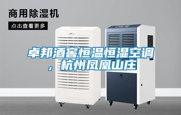 卓邦酒窖恒溫恒濕空調，杭州鳳凰山莊