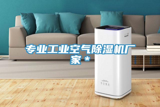 專業工業空氣杏仁视频APP成人官方污廠家＊
