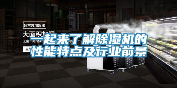 一起來了解杏仁视频APP成人官方污的性能特點及行業前景