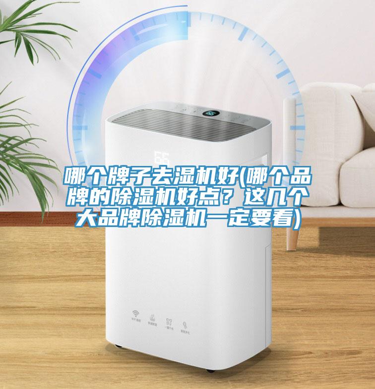 哪個牌子去濕機好(哪個品牌的杏仁视频APP成人官方污好點？這幾個大品牌杏仁视频APP成人官方污一定要看)