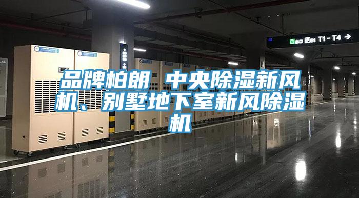 品牌柏朗 中央除濕新風機、別墅地下室新風杏仁视频APP成人官方污