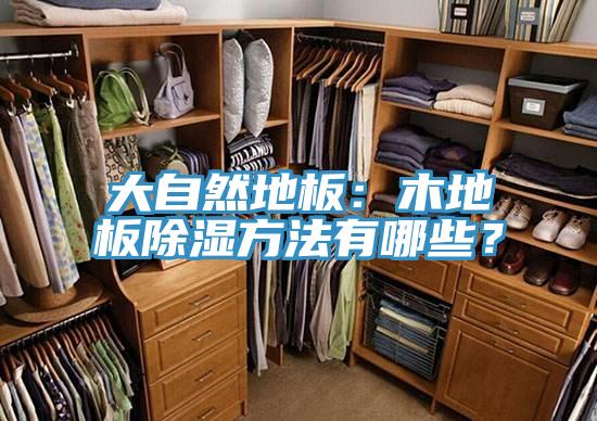 大自然地板：木地板除濕方法有哪些？