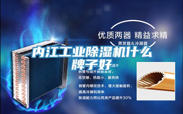 內江工業杏仁视频APP成人官方污什麽牌子好